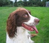 click for a larger view